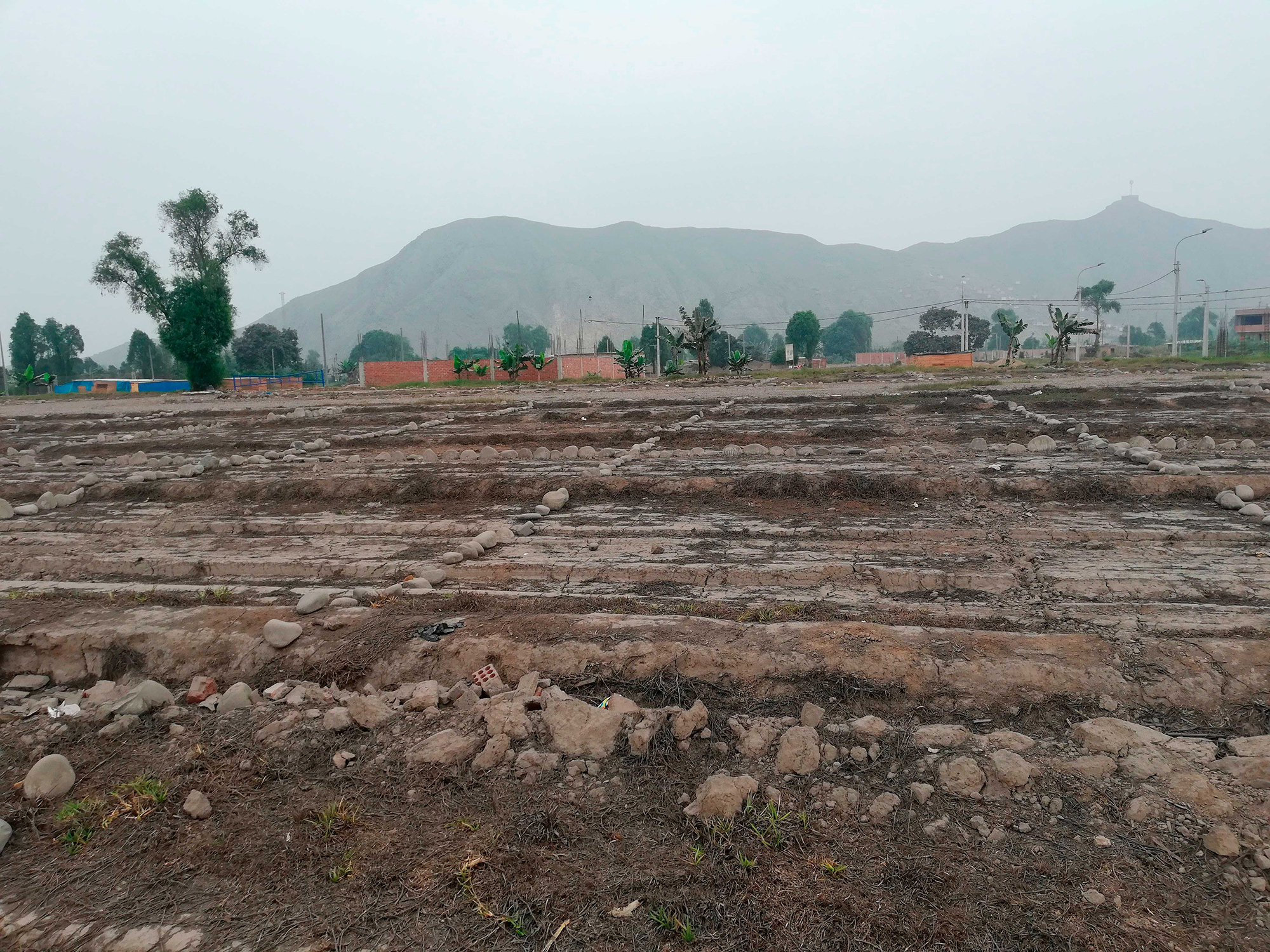 local de 120m2 en buena ubicación de carabayllo cerca de colegios y centros comerciales